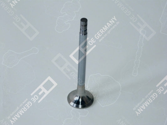 OE GERMANY 010520300001 Intake Valve