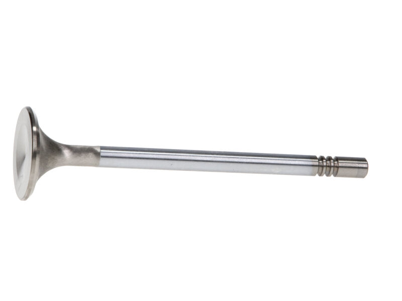 Manley Performance Manley Ford Modular Coyote 5.0L Gen III Race Master Series Intake Valve Set - 1.485in Dia