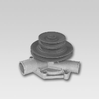 HEPU P863 Water Pump