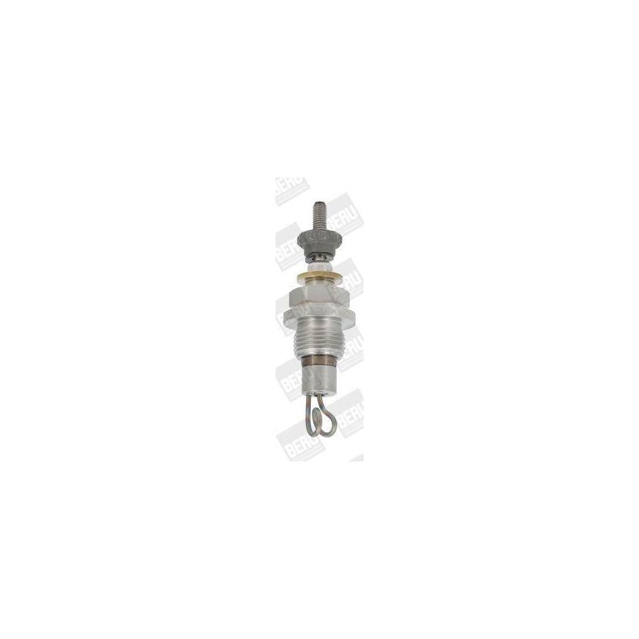 Beru 0135200040 Nozzle And Holder Assembly