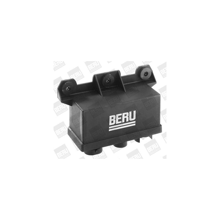 Beru Dht057 Nozzle And Holder Assembly