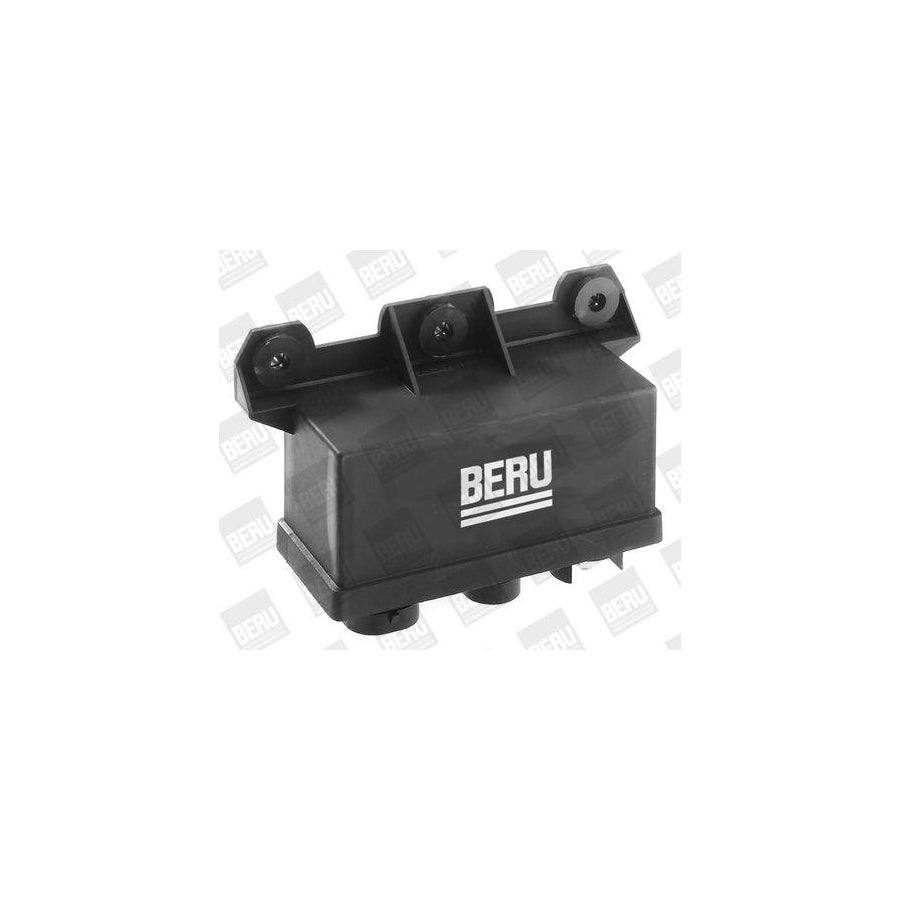 Beru Dht060 Nozzle And Holder Assembly