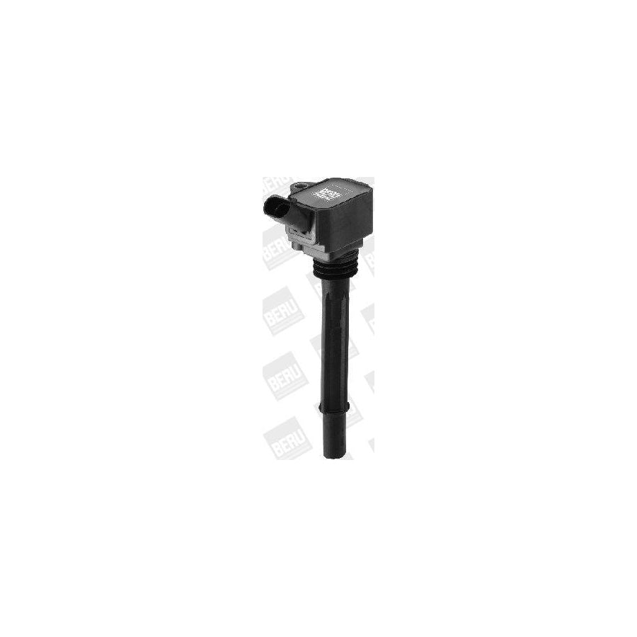 Beru Ger010 Alternator Regulator