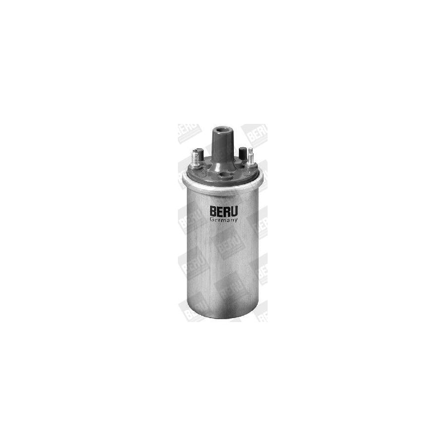 Beru Ger028 Alternator Regulator