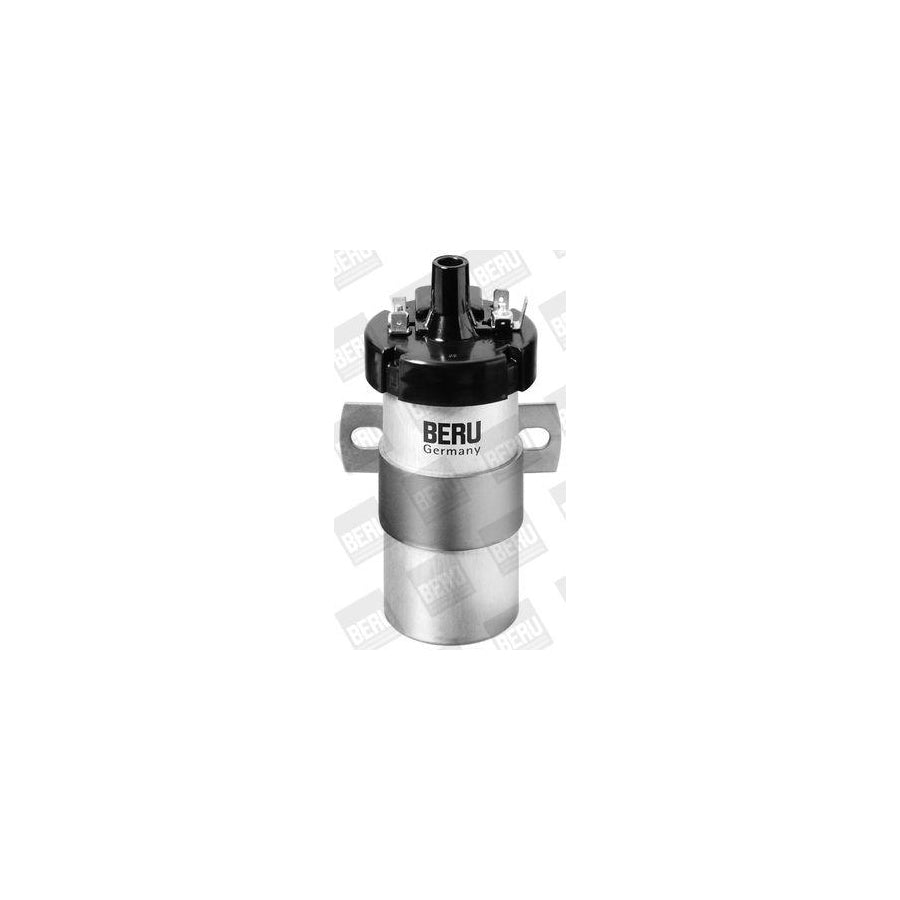 Beru Ger030 Alternator Regulator