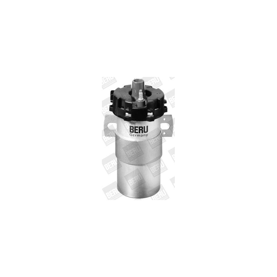 Beru Ger038 Alternator Regulator