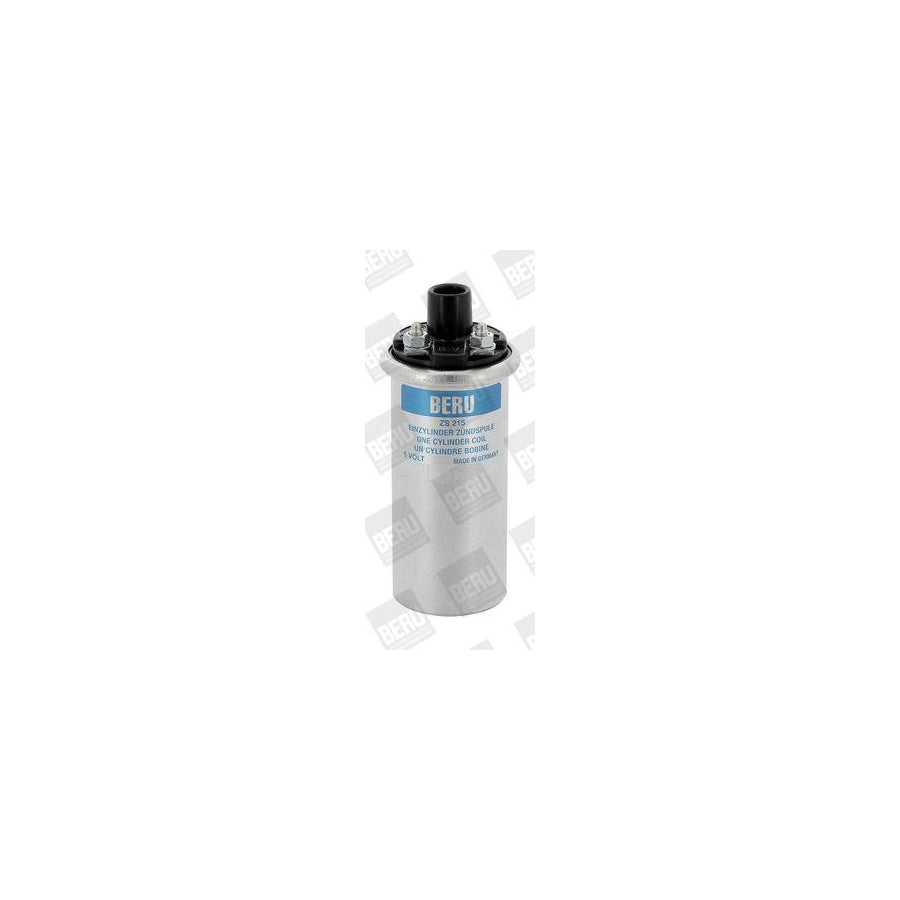 Beru Ger048 Alternator Regulator