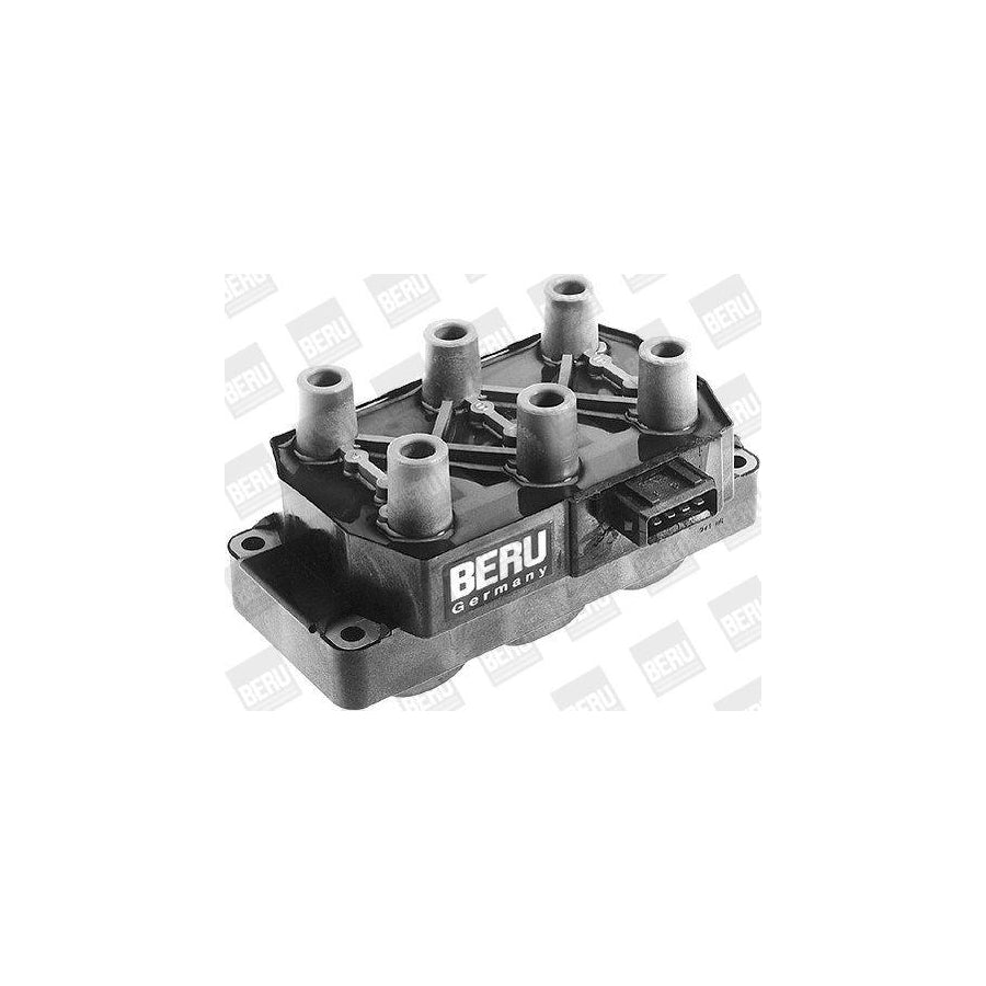 Beru Ger055 Alternator Regulator