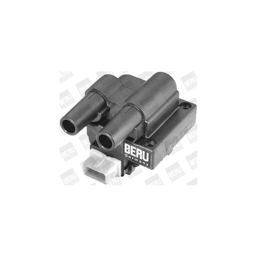 Beru Ger079 Alternator Regulator