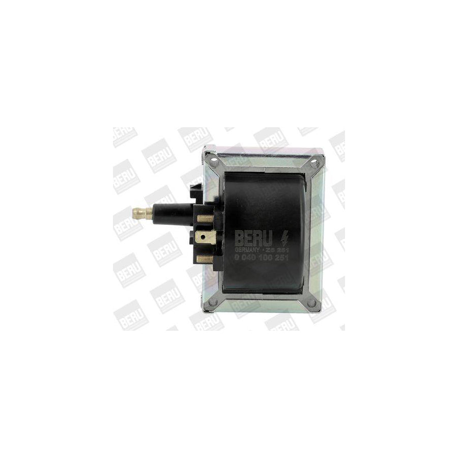Beru Ger097 Alternator Regulator