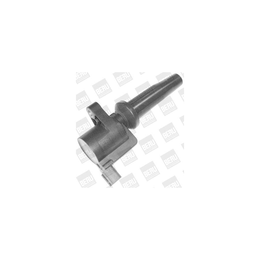 Beru Gs30 Protective Cap, Spark Plug