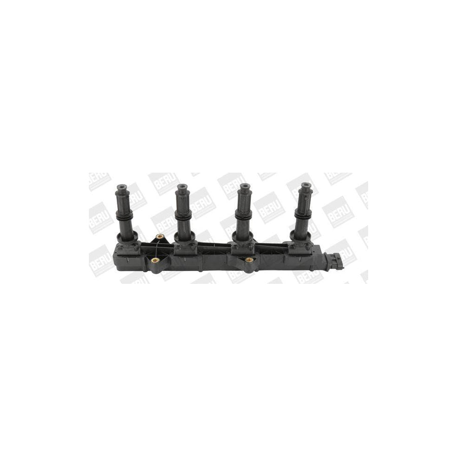 Beru Le052 Fan, Radiator