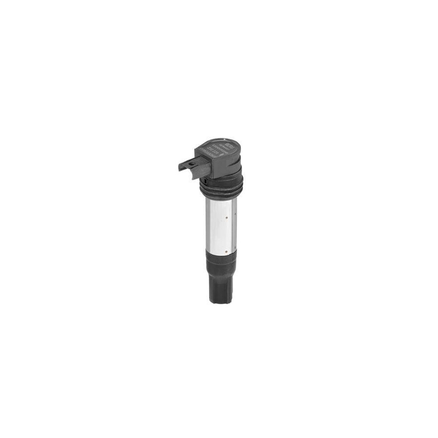 Beru Le538 Fan, Radiator for Hyundai Getz (Tb)