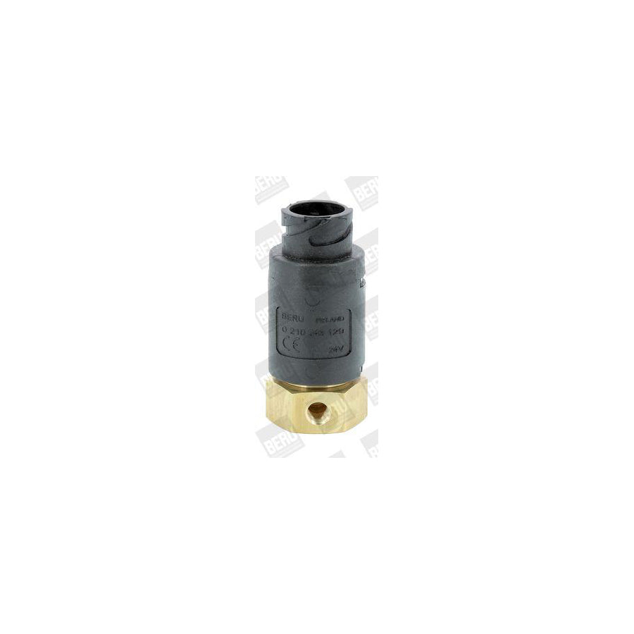 Beru Mv129 Valve, Flame Starter System