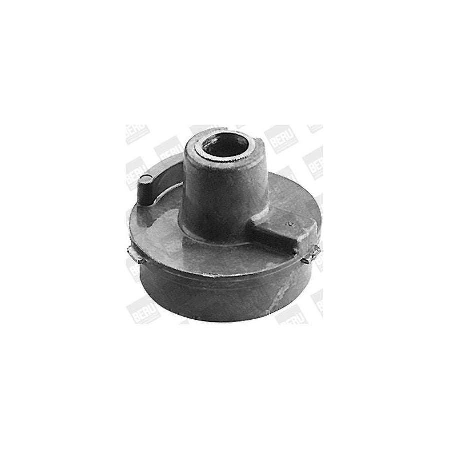 Beru Nvl110 Distributor Rotor for Renault 30