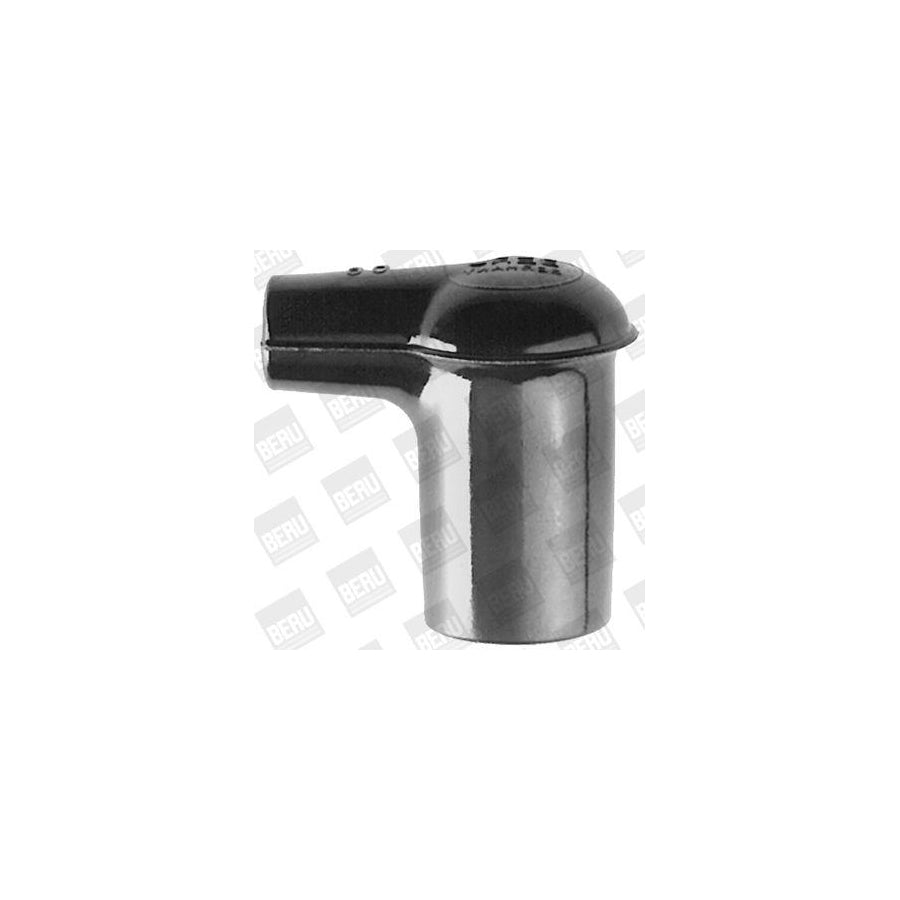 Beru O6 Plug, Spark Plug