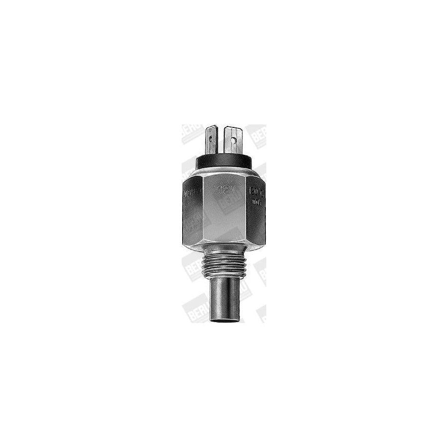 Beru St019 Sensor, Coolant Temperature
