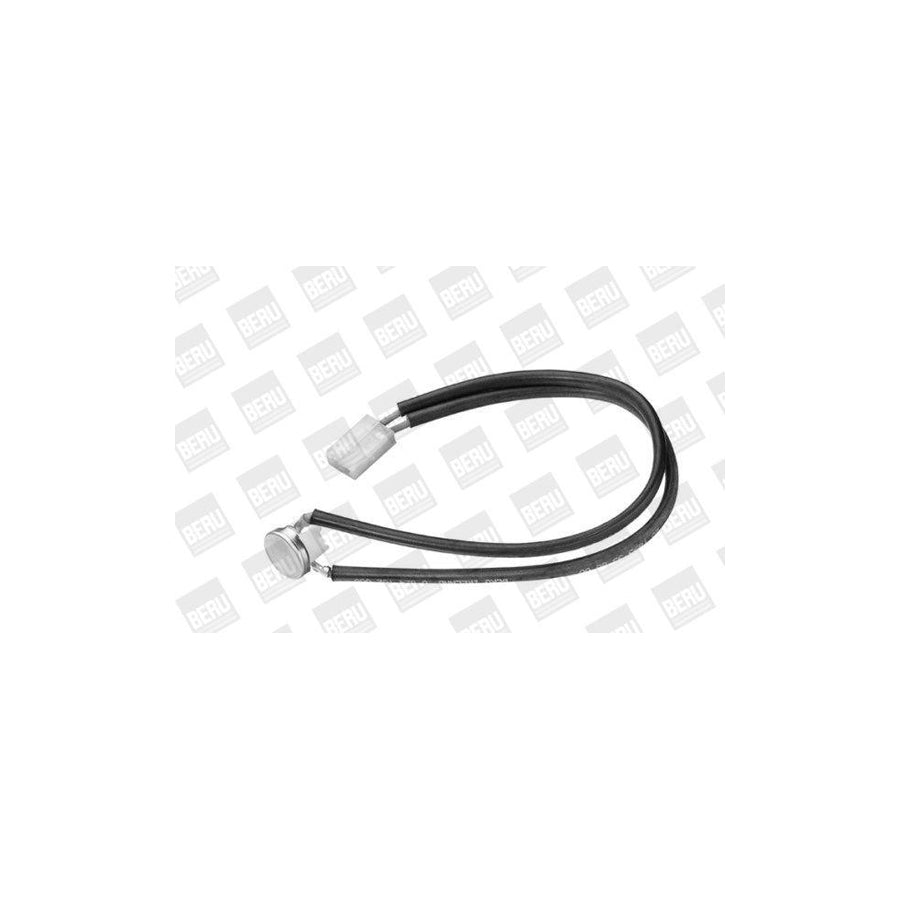 Beru St021 Sensor