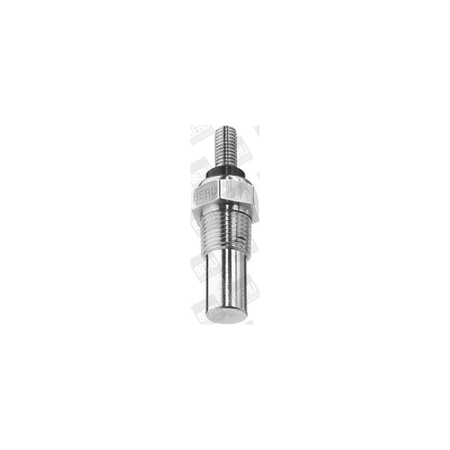 Beru St040 Sensor, Coolant Temperature