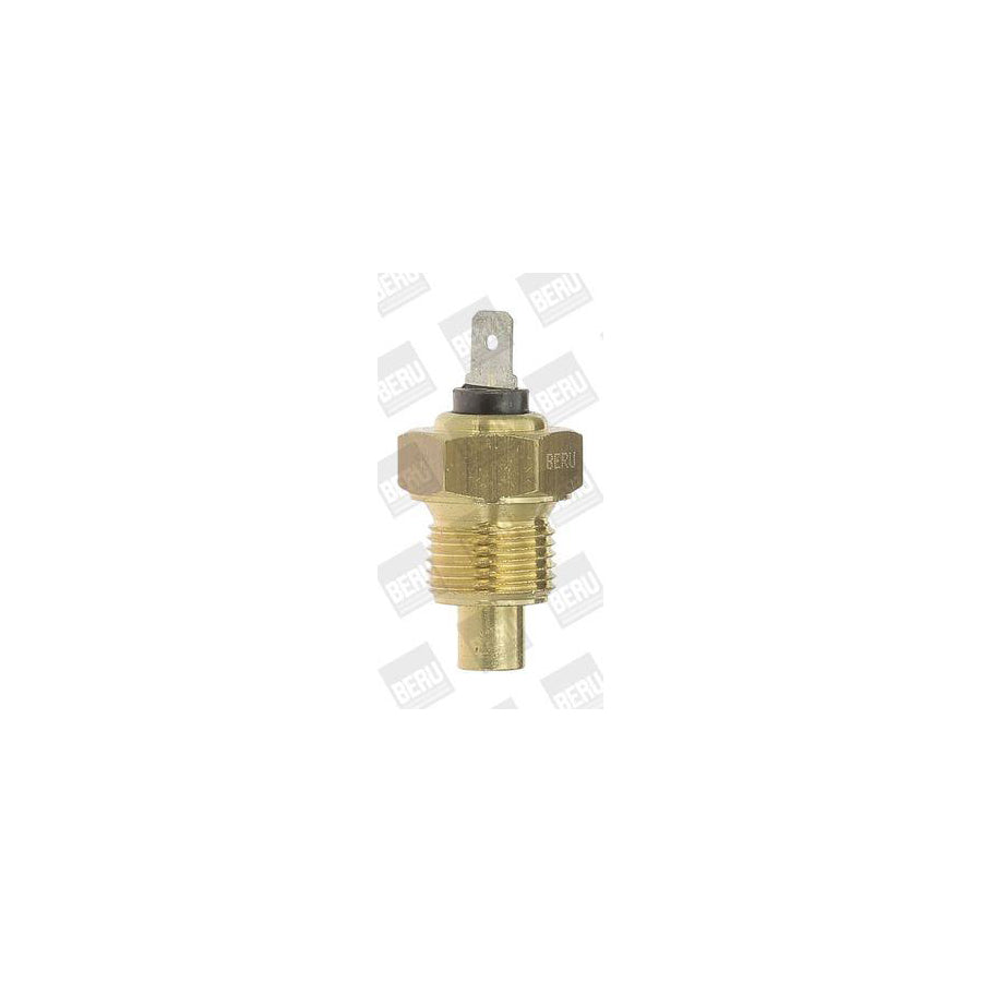 Beru St044 Sensor, Coolant Temperature