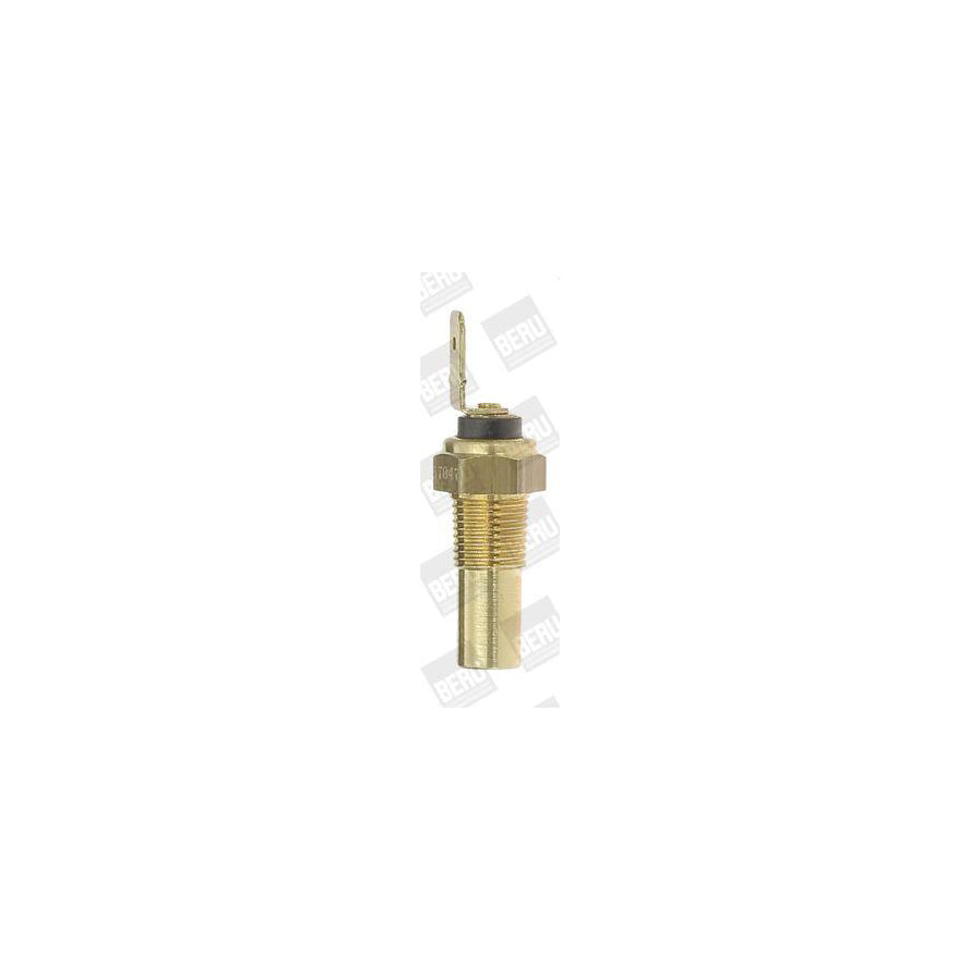 Beru St047 Sensor, Coolant Temperature
