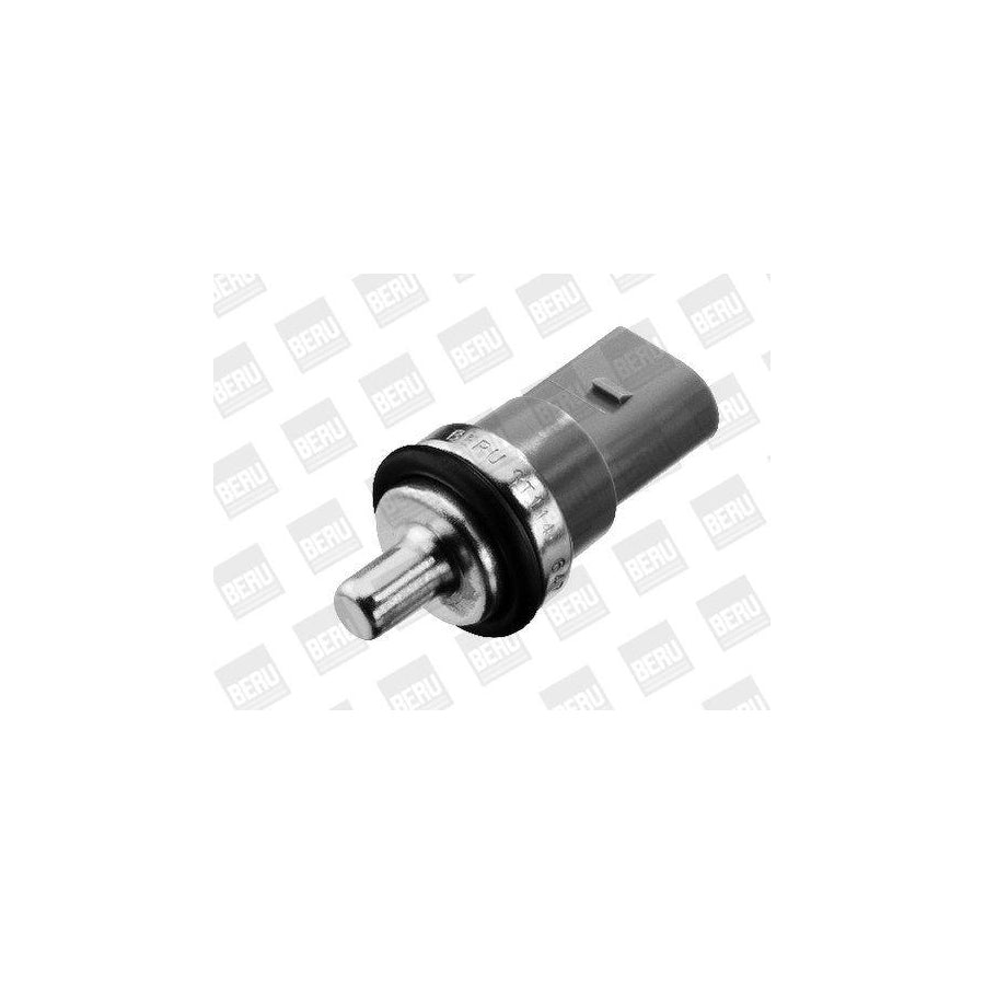 Beru St114 Sensor, Coolant Temperature