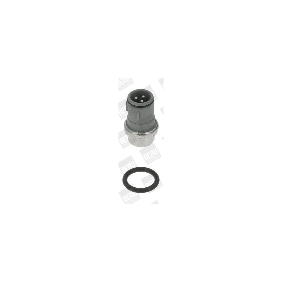 Beru St122 Sensor, Coolant Temperature