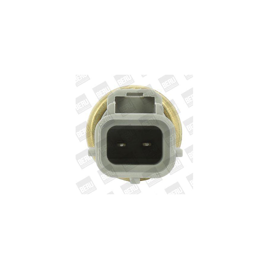 Beru St240 Sensor, Coolant Temperature