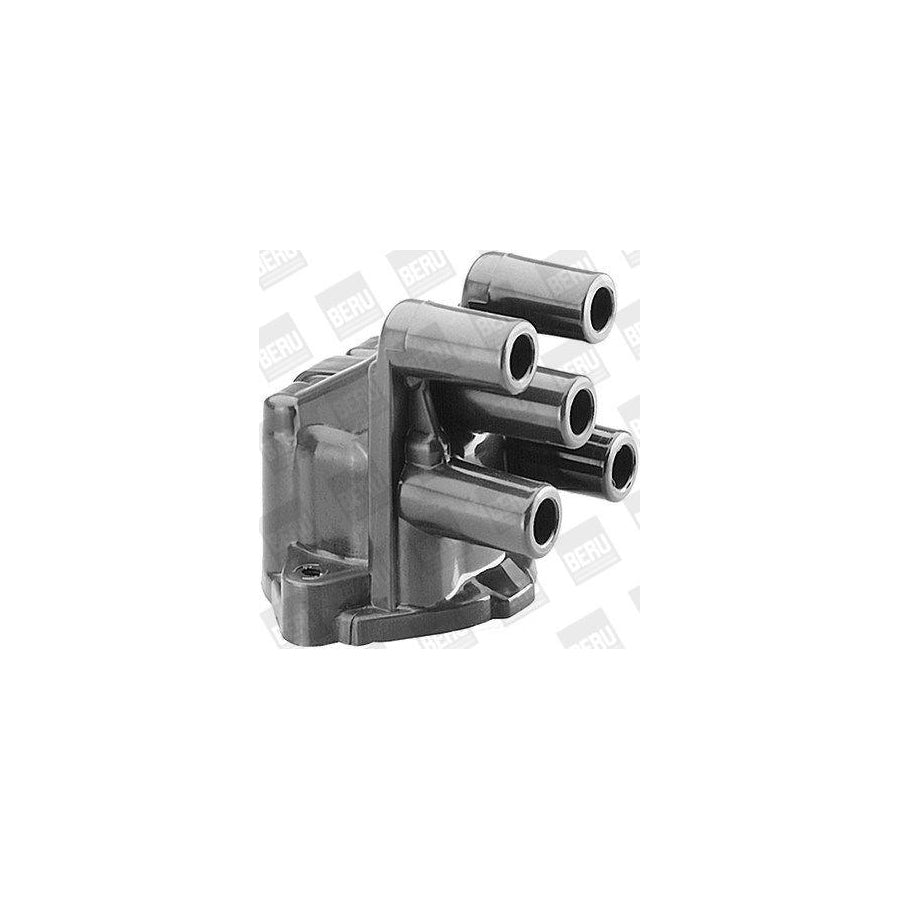 Beru Vk402 Distributor Cap