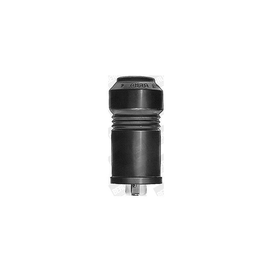 Beru Wves1 Plug, Distributor