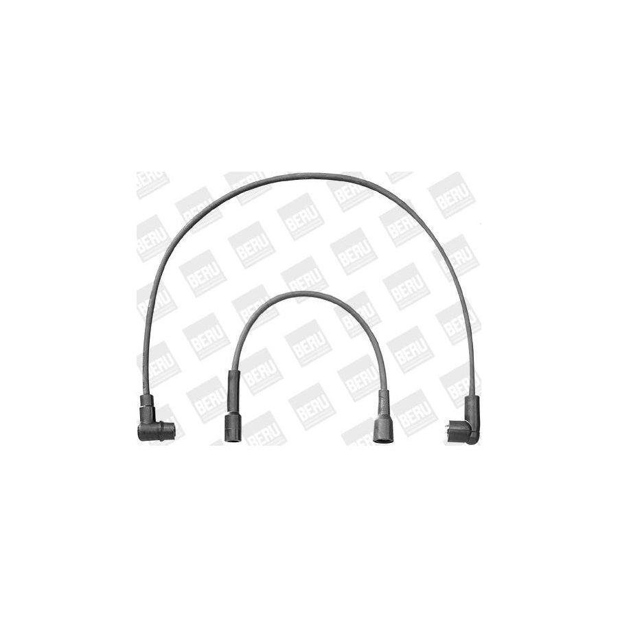 Beru Zef1395 Ignition Cable Kit for Renault Rapid Van (F40, G40)