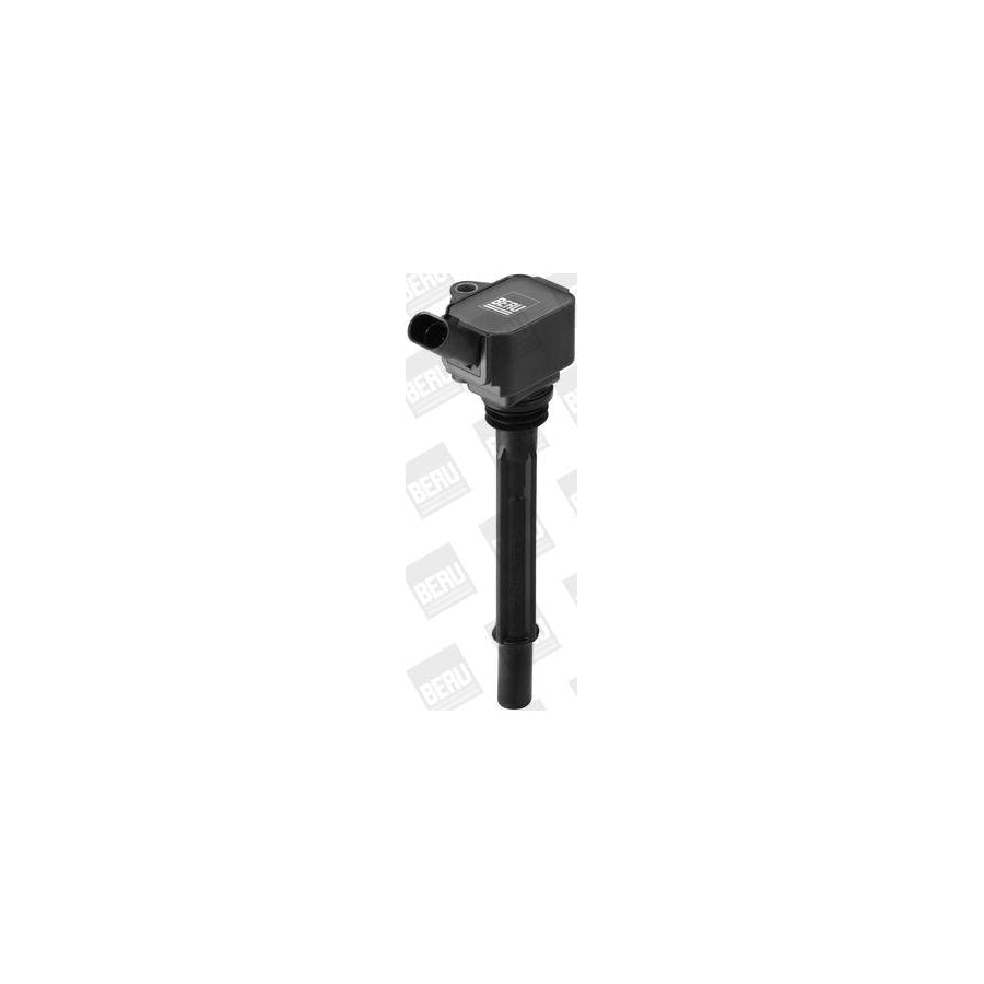Beru Zs096 Ignition Coil for Fiat 500X (334)