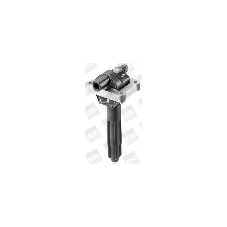 Beru Zs295 Ignition Coil