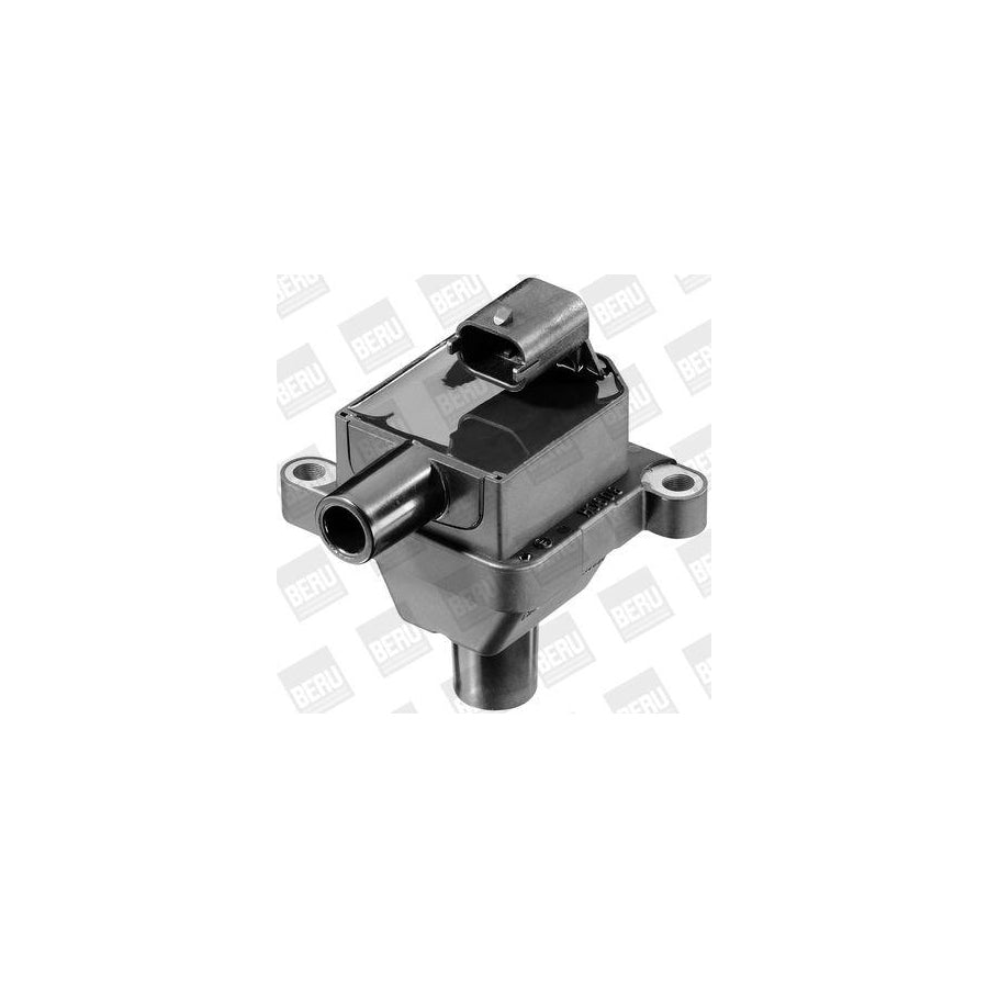 Beru Zs309 Ignition Coil