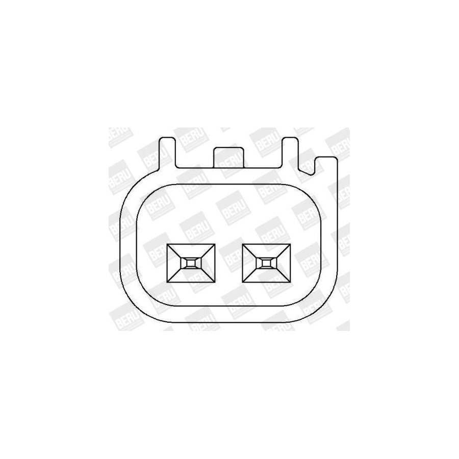 Beru Zs369 Ignition Coil