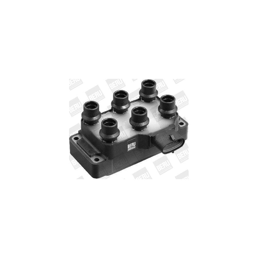 Beru Zs370 Ignition Coil