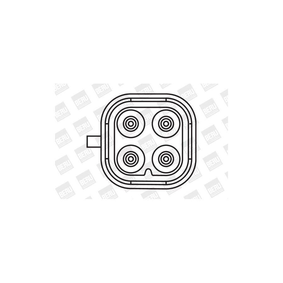 Beru Zs404 Ignition Coil