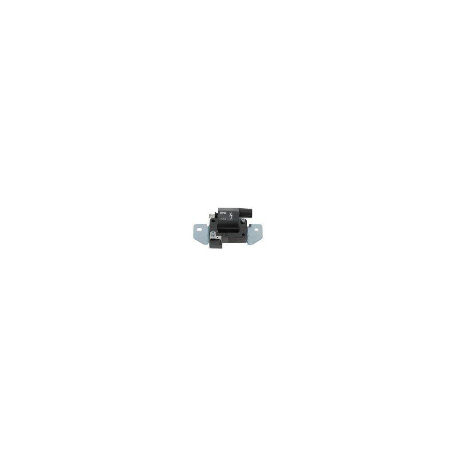 Beru Zs540 Ignition Coil