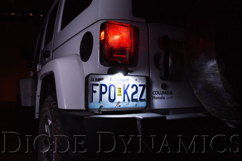 Diode Dynamics 194 LED Bulb HP5 LED Warm - White (Single)
