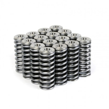 Skunk2 Racing Skunk2 Alpha Series Honda/Acura D Series Valve Spring and Titanium Retainer Kit