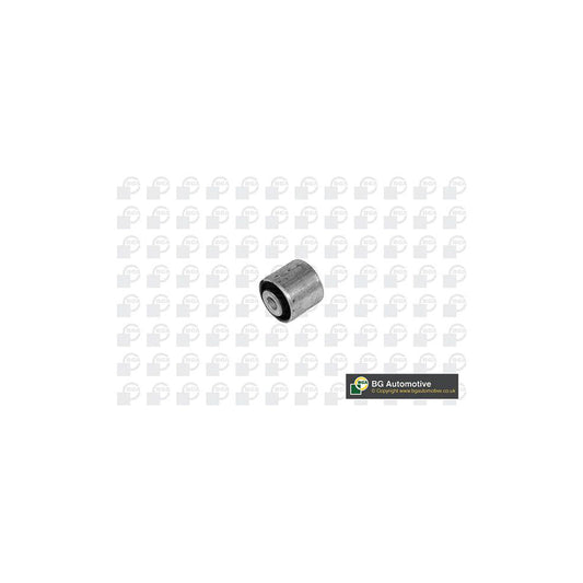 Bga BU0138 Control Arm / Trailing Arm Bush