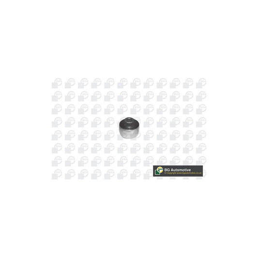 Bga BU2371 Control Arm / Trailing Arm Bush