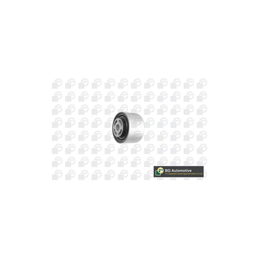 Bga Bu5648 Axle Bush