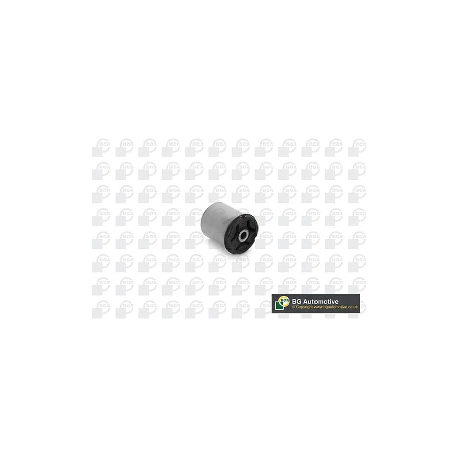 Bga Bu9539 Axle Bush
