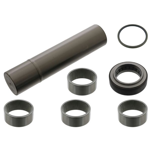 FEBI FE15865 Kingpin Repair Kit