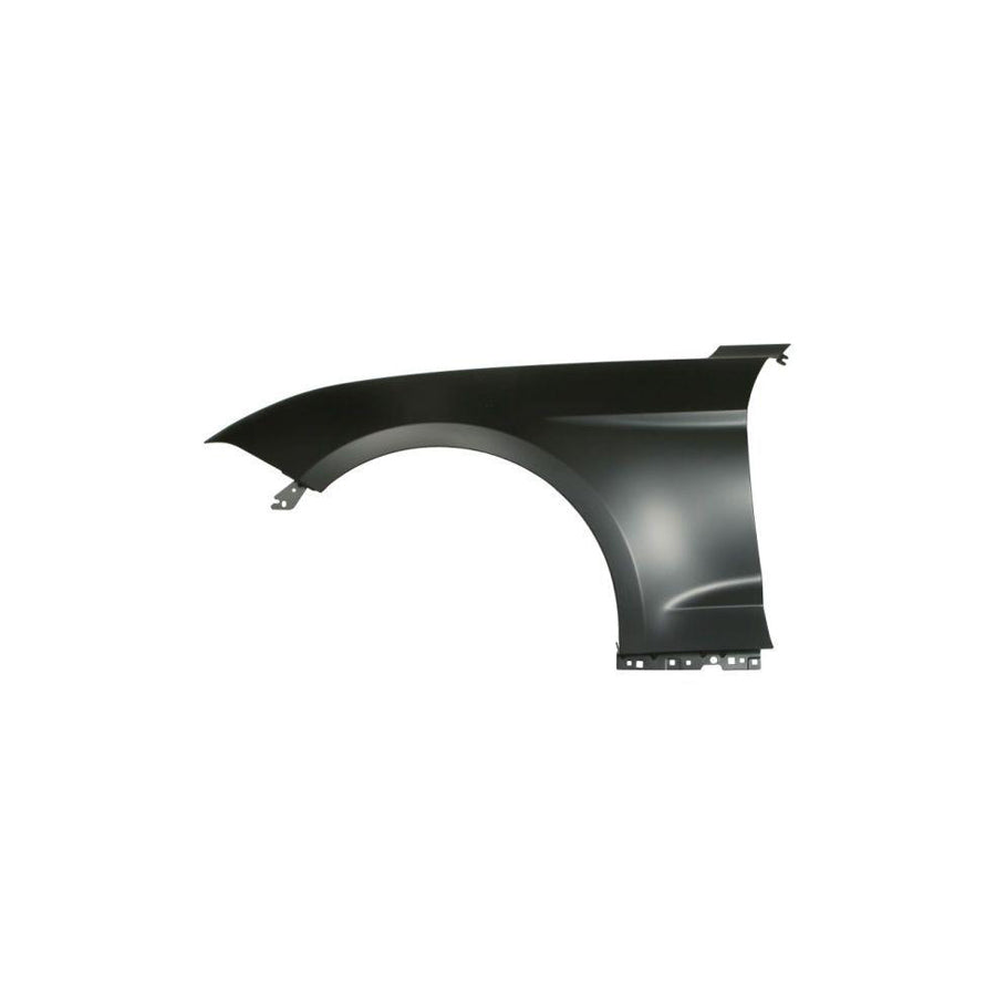 Blic 6504-04-2589313P Wing Fender For Ford Usa Mustang Mach-E