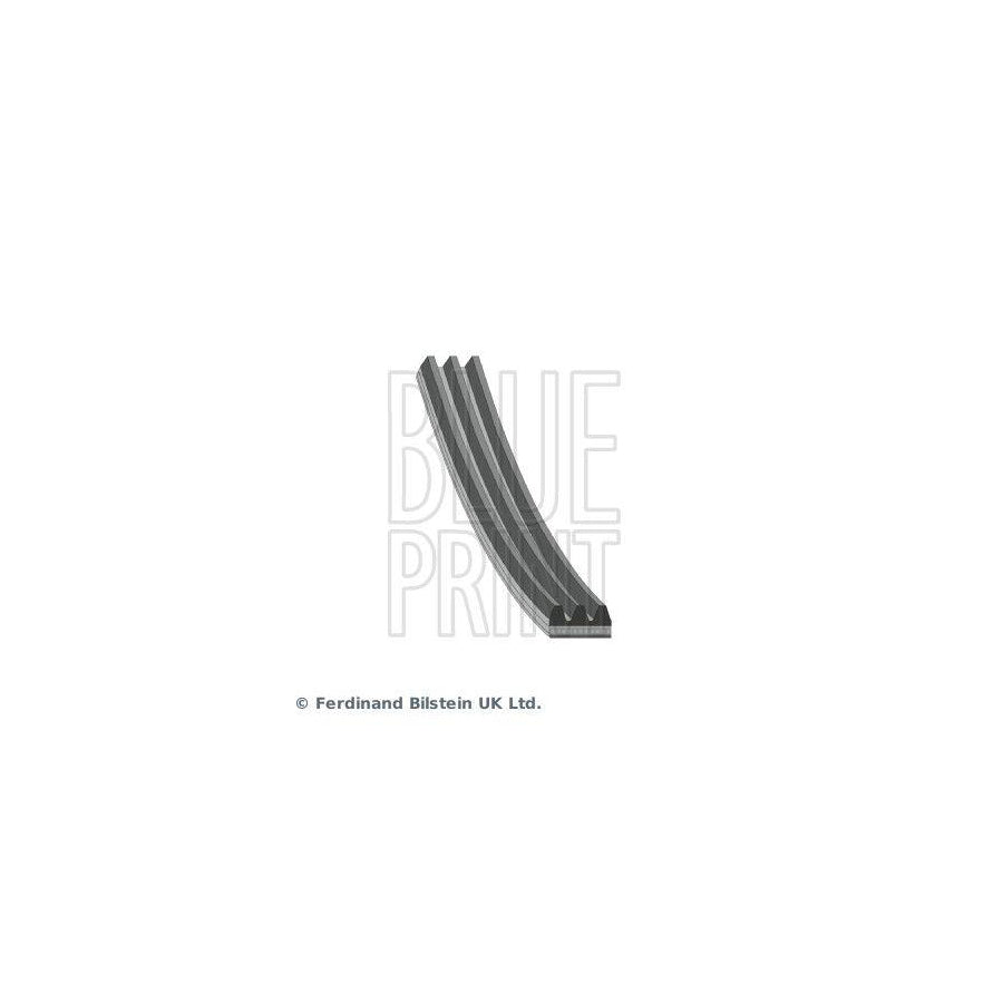 Blue Print Ad03R872 V-Ribbed Belt
