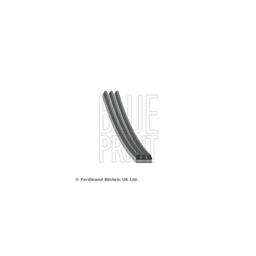 Blue Print Ad03S798 V-Ribbed Belt