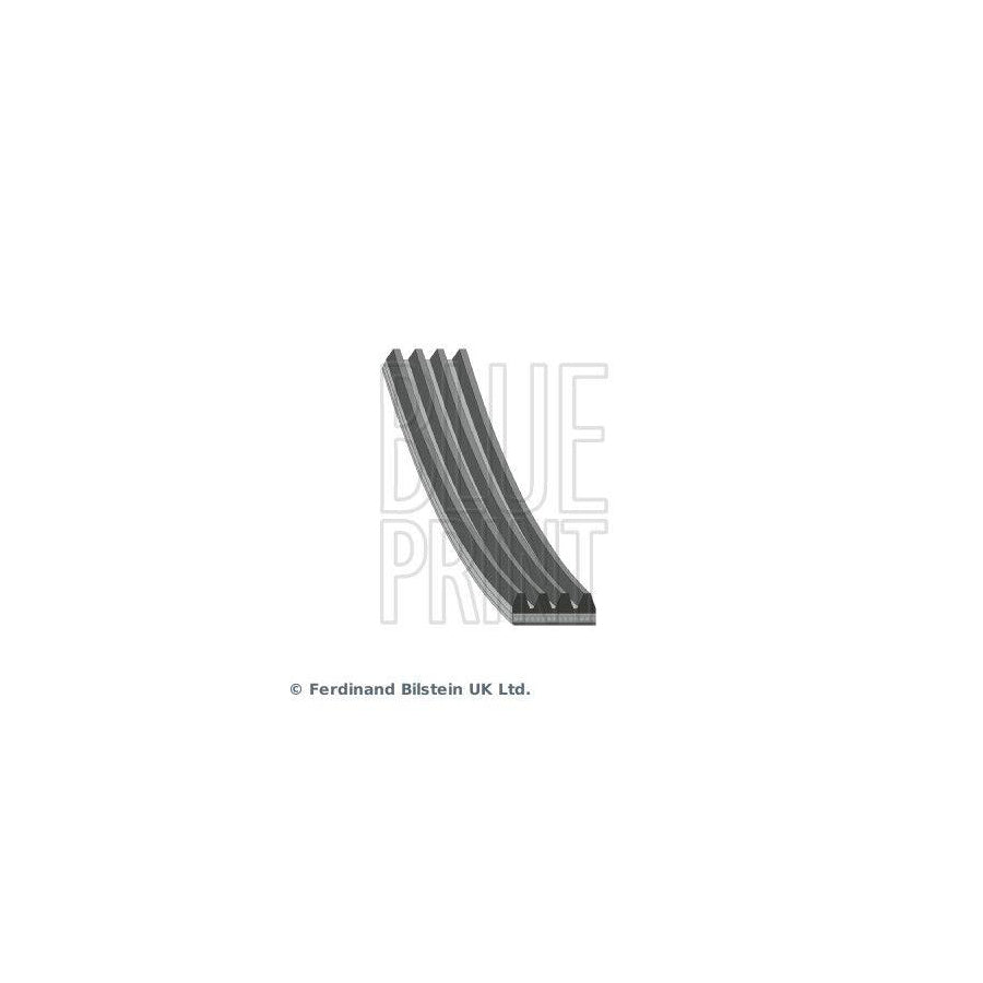 Blue Print Ad04S806 V-Ribbed Belt