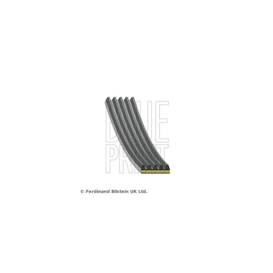 Blue Print Ad05A1495 V-Ribbed Belt